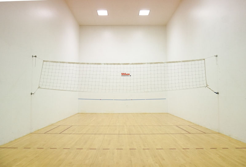 Racquetball & Volleyball
